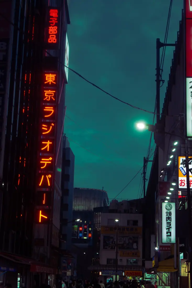 Vertical neon signs framing a teal evening sky in Tokyo